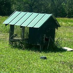 Chicken Coop With 2 Sections 