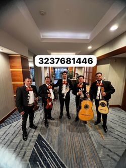 Vihuela violín mariachi