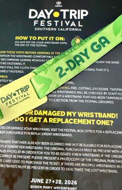Daytrip wristband