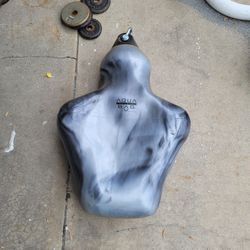 Aqua Trainer BRUISER Punching Bag