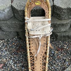 Snow Shoes
