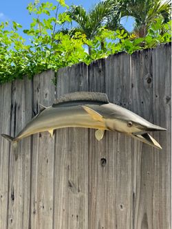 Wahoo Wall Mount 4ft Length