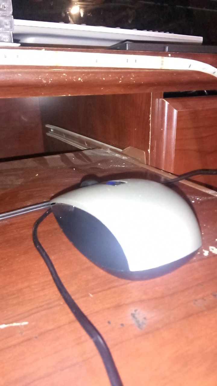 Dell Laptop Mouse