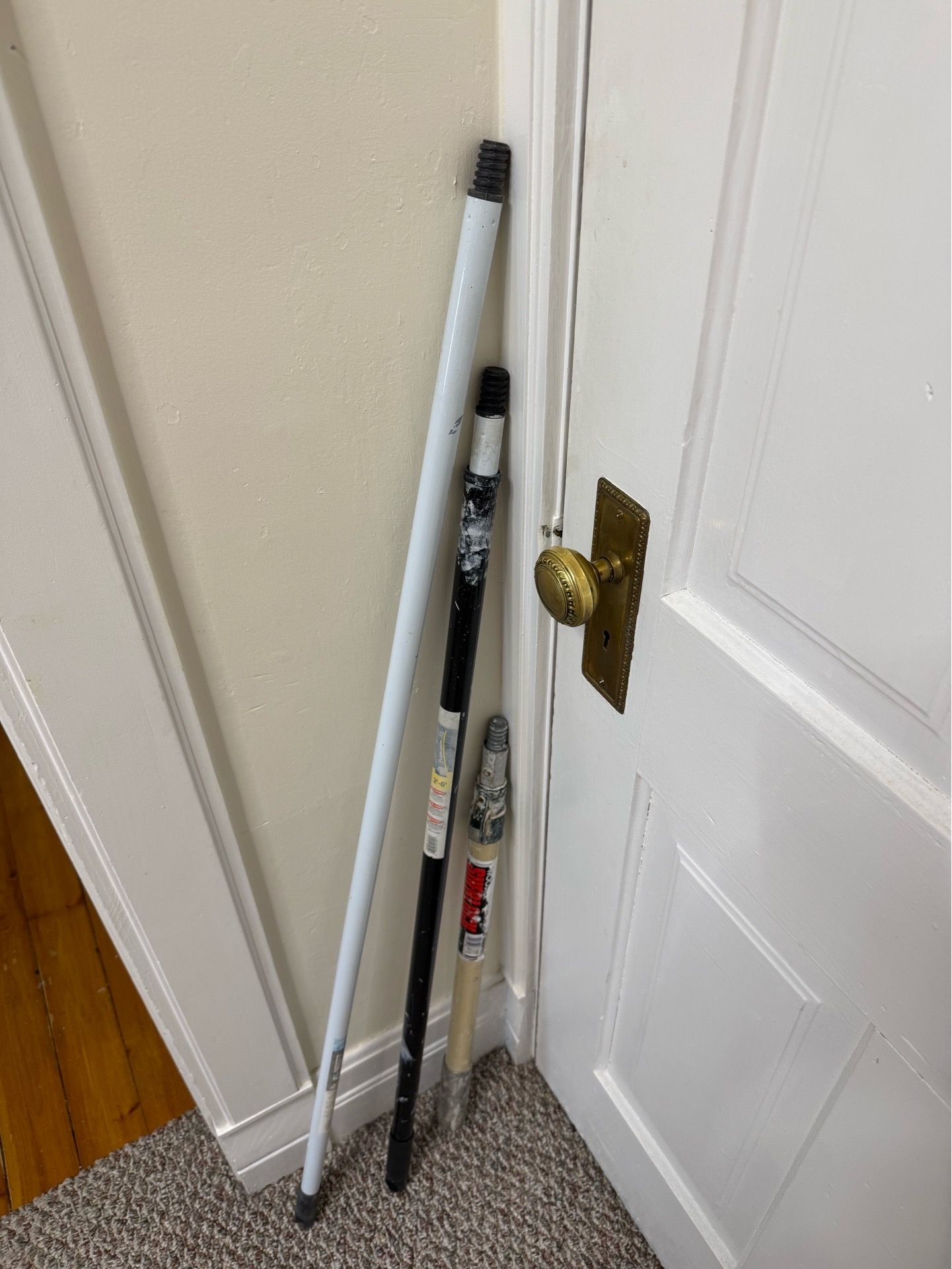 Painter poles