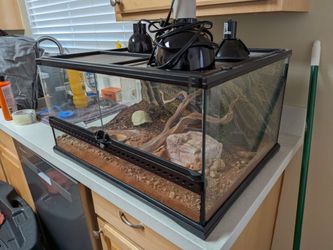 Reptile Enclosure - Habitat