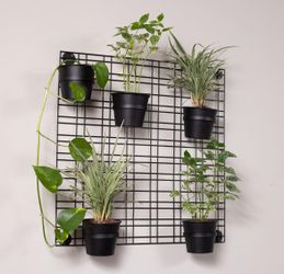 BIRDROCK HOME Garden Wall Grid