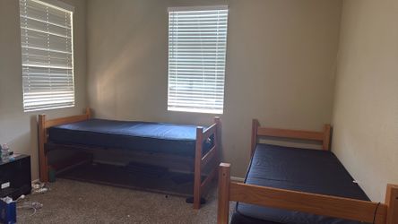 Free Free 2-3 College Beds (collapsed)