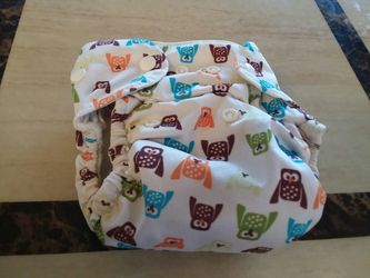 Thirsties aio cloth diaper