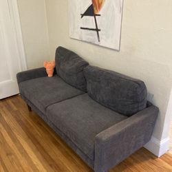 Firm Gray couch