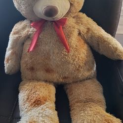 Large Bear 🐻 
