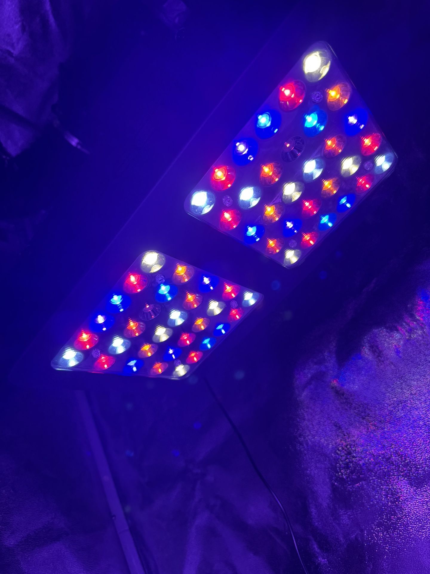 Led Grow Light
