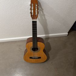 Acoustic Guitar 