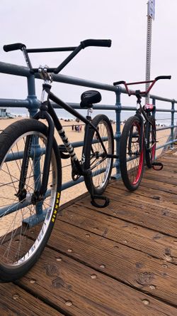 Throne 29er