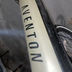 Popular E-bike For The Low 