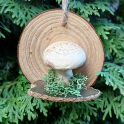 " Symbiotic Relationship" Hanging Wooden Mushroom Decor Ornament Decor