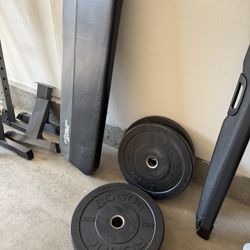 Rogue 2.0 Bumper Plates 