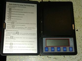 The pocket scale