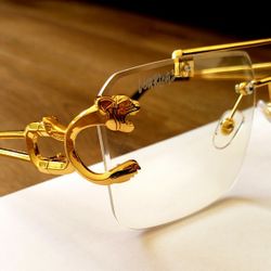 New Panther V3 Glasses