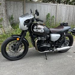 2019 Kawasaki W800 Cafe 