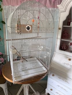 Bird cage