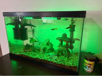 35$ FULL Aquarium Setup – Tank + Fish + Filter + LED (Must Go – Moving)