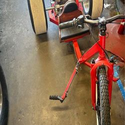 Motorized Trike Bike