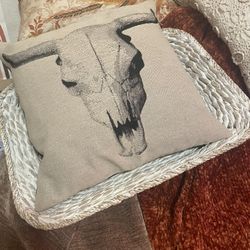 Pottery Barn Pillow 