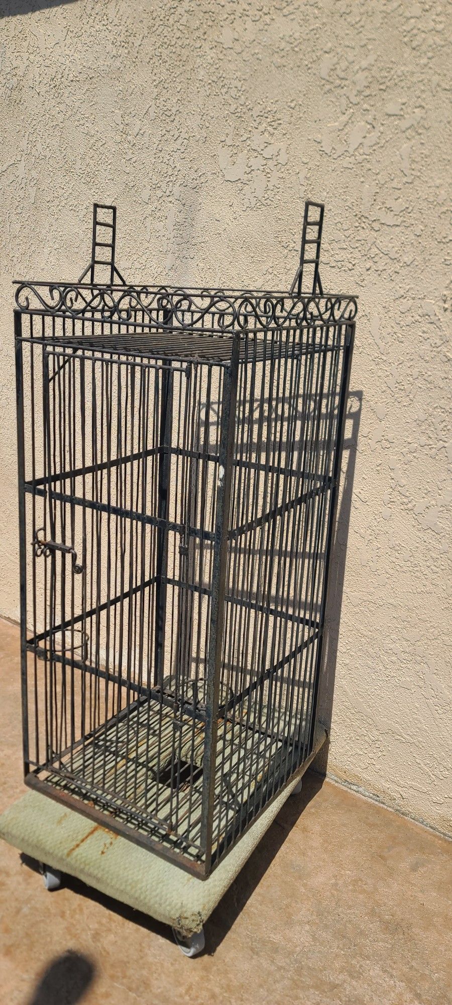 Bird Cage
