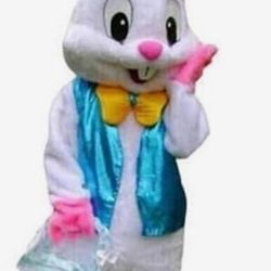 Disfras De Mascota Conejo