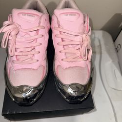 RAF Simons Adidas Ozweego