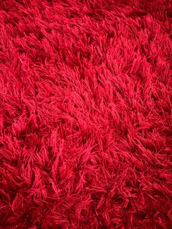 At Home Senses Red Shag Area Rug