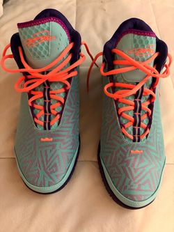 LeBron James shoes