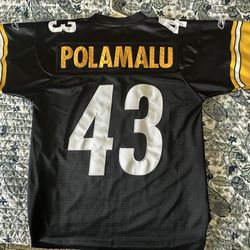 Steelers Jersey - Troy Polamalu