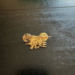 Navy SEAL pin