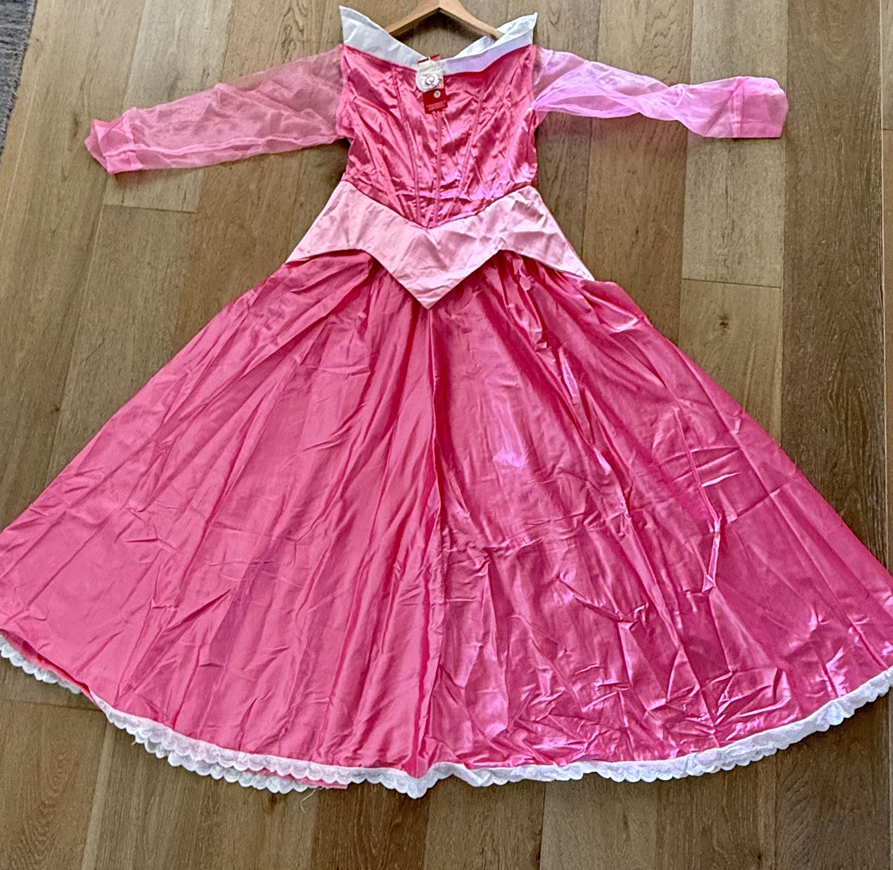 Princess / Sleeping Beauty Costume