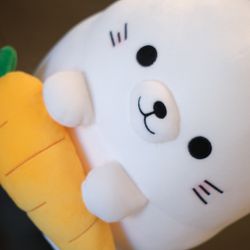 White Bunny & Carrot Plushie NEW! (medium)