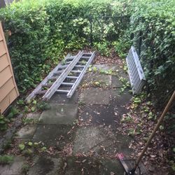 Littl Giant Multi Straight & Steps $8516’ Extension $65 Trifold Ramp $110 4’5’ Costco $25 Each Dolly Ladder 3 Step $35 Plus 