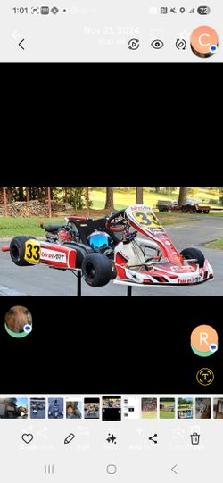 Professional Racing Kart