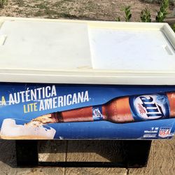 Hieleras Grandes $$$$$