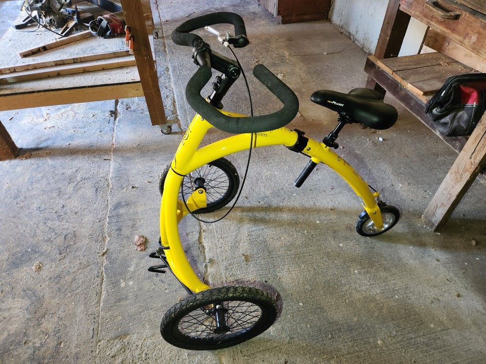 Alinker Walking Bike 