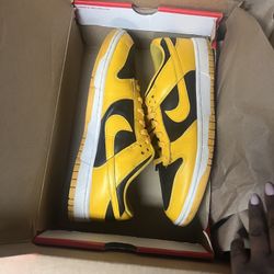 Men’s 10.5 Dunks 