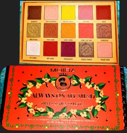 New eyeshadow palette great picmentation