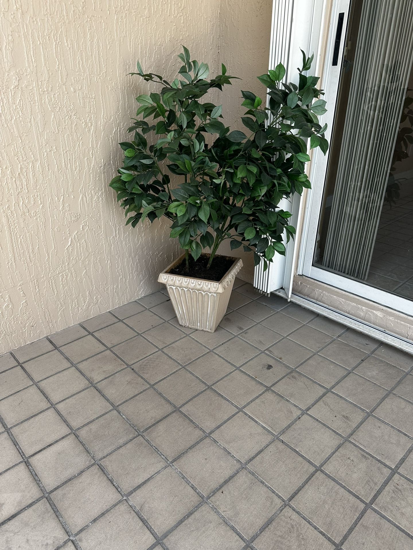 Fake Plant 