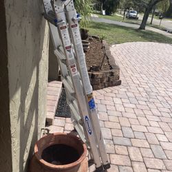 Werner 22 Multi Ladder