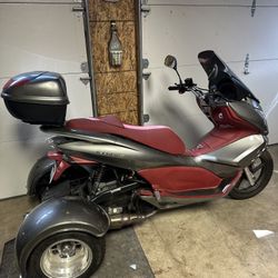 Ice Bear Scooter