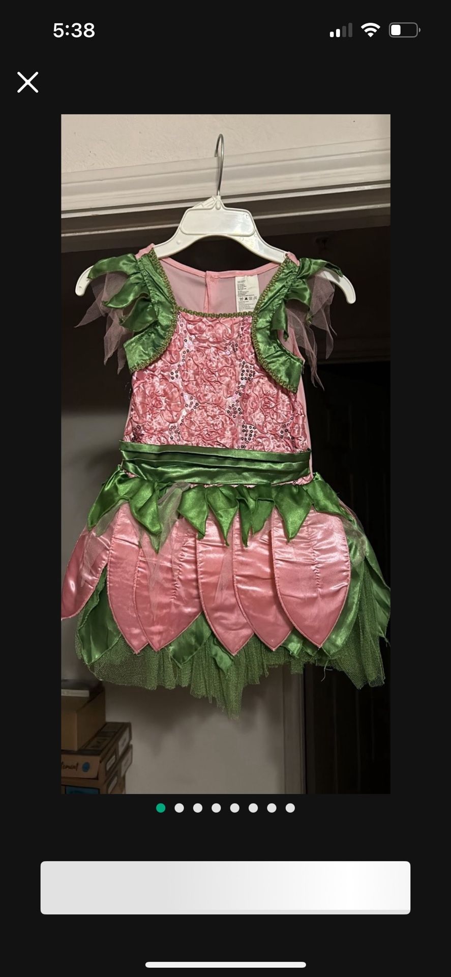 Fairy Costume