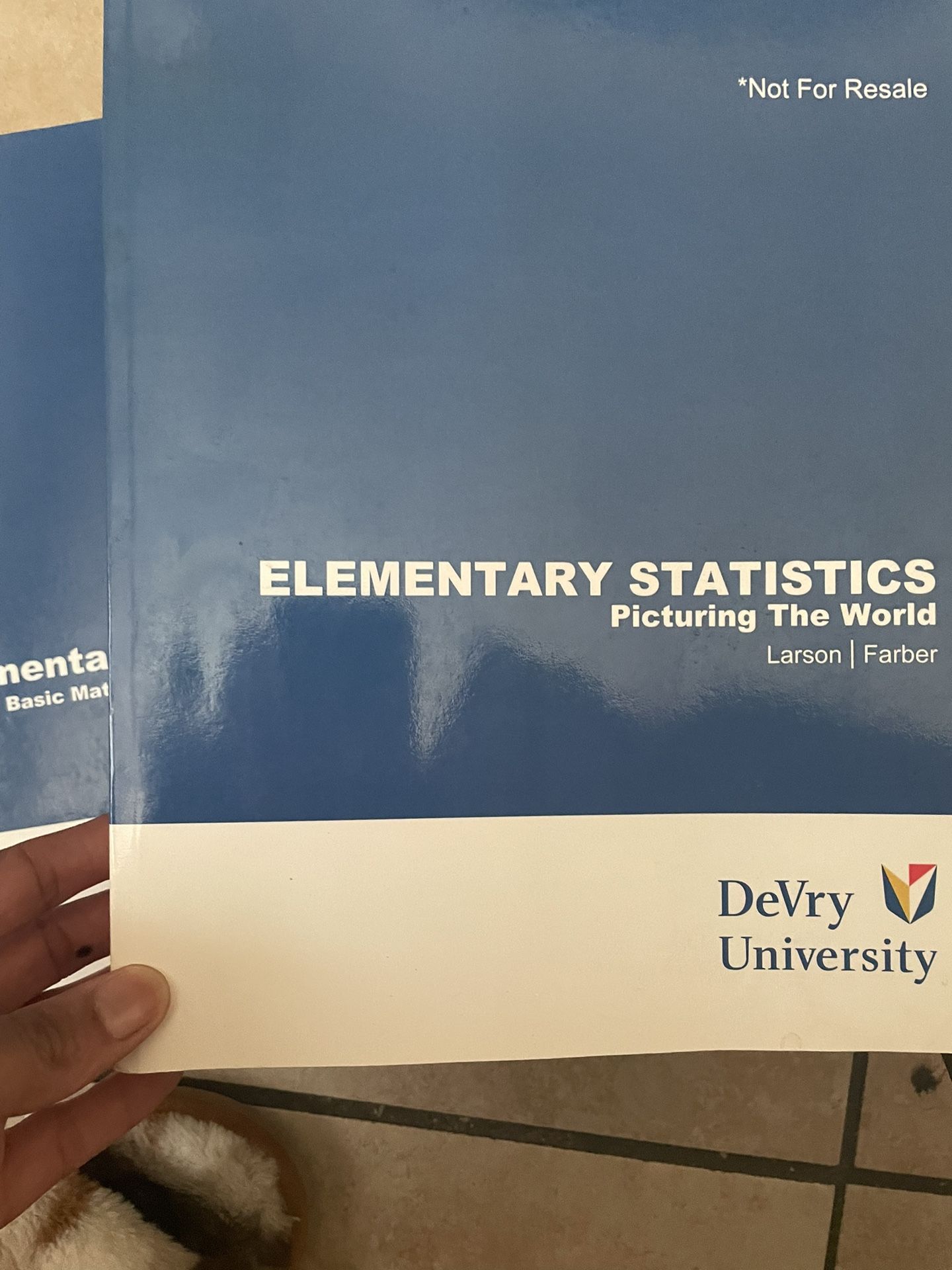 Elementary Statistics 