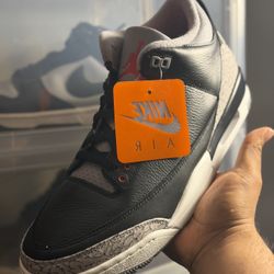 Air Jordan 3 Black Cement 