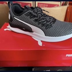 Pumas New