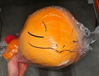 Sleeping charmander pokemon Plush